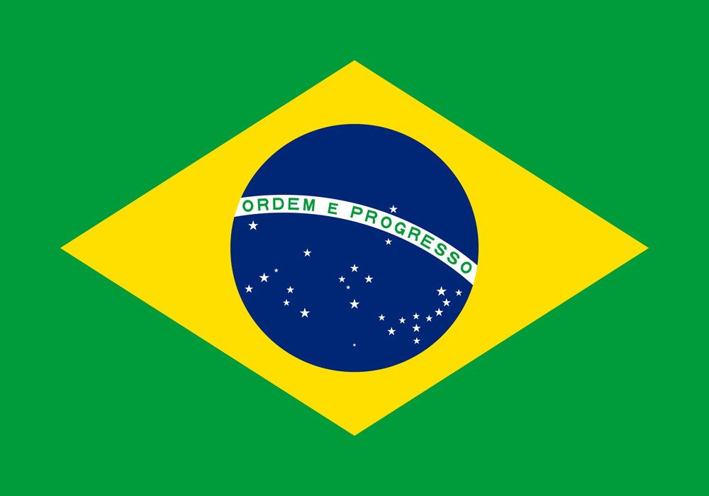 a flag of the brazilian flag
