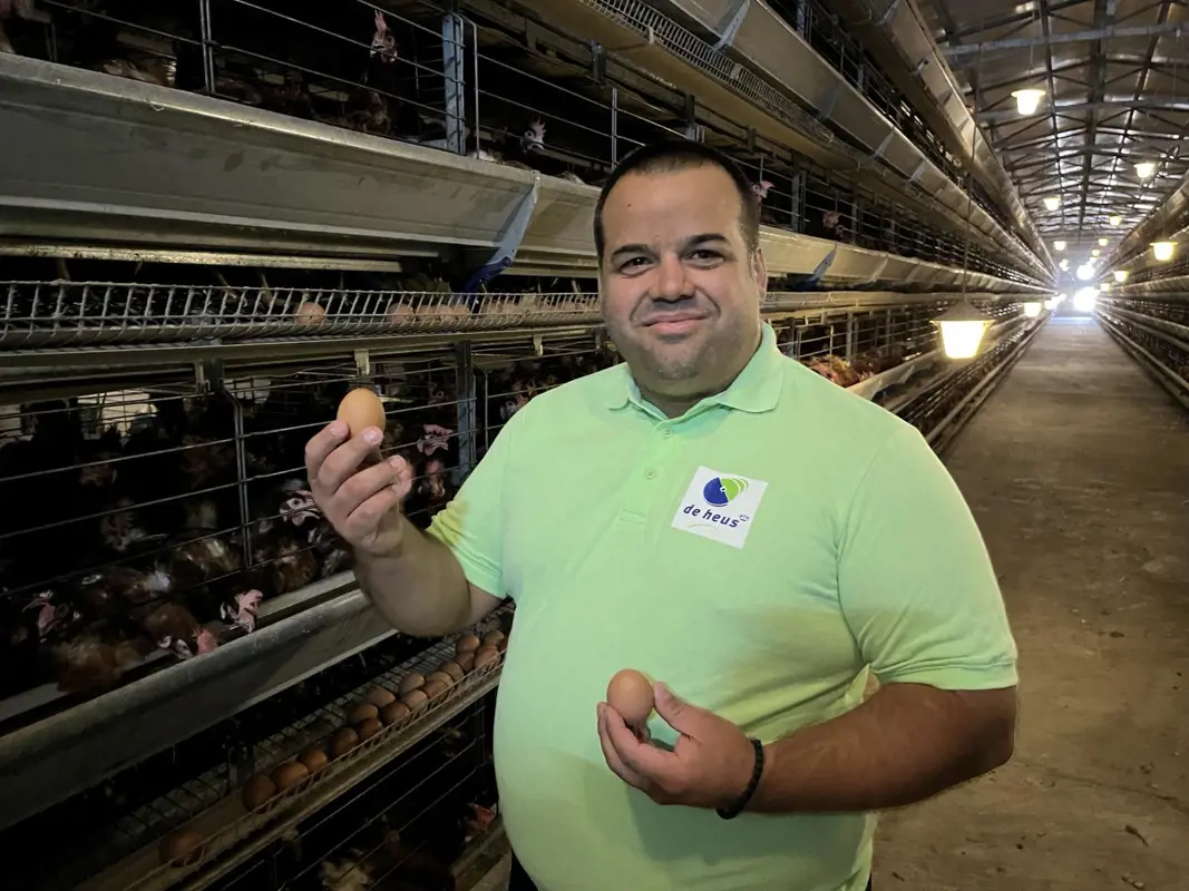 Vladimir Petrović testimonial